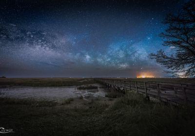 2016 Charleston Astrophotography