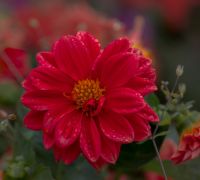 20260814 untitled