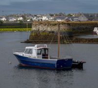 20260813 ireland