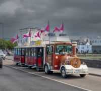 20260813 ireland