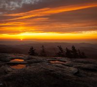  tz73835 pano edit edit ted