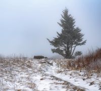 20220220 z7ii boone sharpened