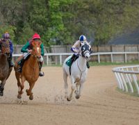 20230318 z7ii aiken trials