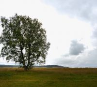 20260803 scotland