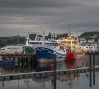 20260812 ireland