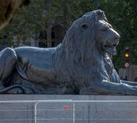 20260822 london