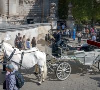 20260822 london