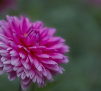 20260820 untitled
