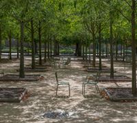 20260820 untitled