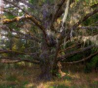 20250917 fort stevens sharpened