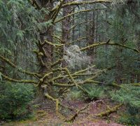 20250917 fort stevens edit sharpened