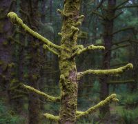 20250917 fort stevens sharpened