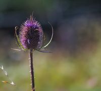 20250922 untitled sharpened