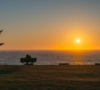 20250923 shore acres sp coos bay sharpened