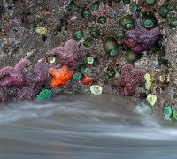 20250922 bandon beach sharpened