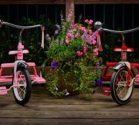 trikes