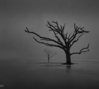 i am not alone