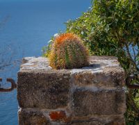 20251202 antigua edit