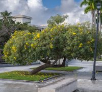 20251204 sanjuan pr edit