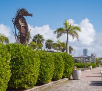 20251204 sanjuan pr edit