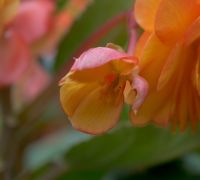 20260816 untitled